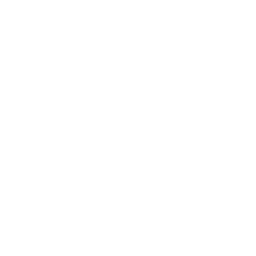 Secure Enterprise Access